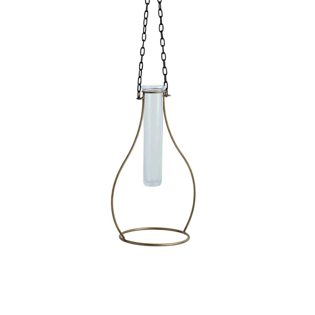 Modern Glass Garden' Test Tube Hanging Planter/Vase (25.4 cm | Golden)